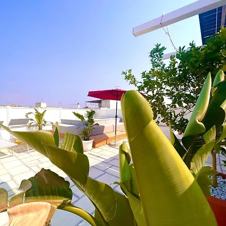 Casa E Salento - Centro Storico With Shared Terrace דירה Nardò